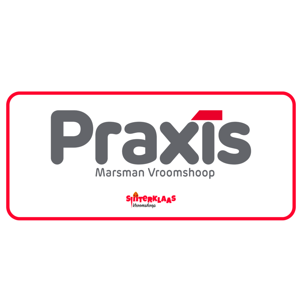 logo 13 web
